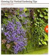 Screen shot 2012-12-22 at 12.28.16 PM